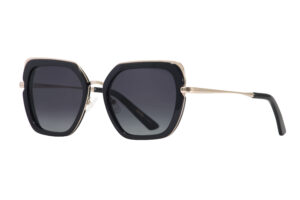 AXESS SOLAR 9067 TAYLOR